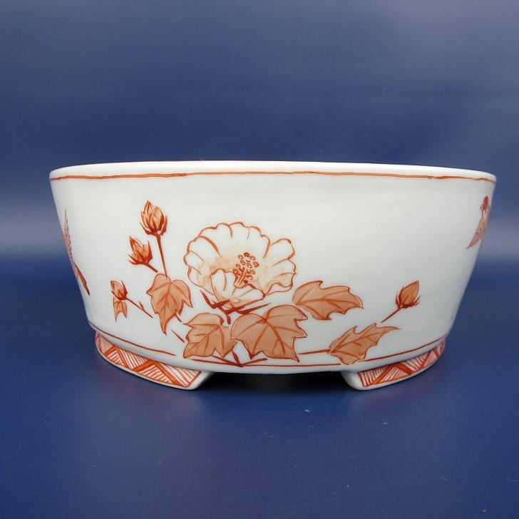 盆栽鉢 月香 小型 長辺 約17.4cm 楕円鉢 赤絵 雀画 鳥 花 共箱 盆栽鉢 月香 小型 長辺 約17.4cm 楕円鉢 赤絵 雀画 鳥 花 共箱