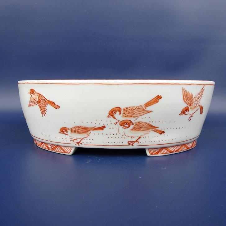 盆栽鉢 月香 小型 長辺 約17.4cm 楕円鉢 赤絵 雀画 鳥 花 共箱 盆栽鉢 月香 小型 長辺 約17.4cm 楕円鉢 赤絵 雀画 鳥 花 共箱