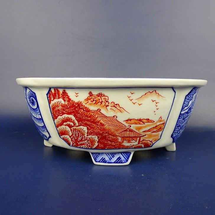 盆栽鉢 月香 楽天市場】盆栽鉢 月香 (共布・共箱) 五彩 龍絵 撫角 長方鉢