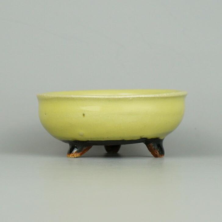 園芸用品 平安虹泉 小品盆栽