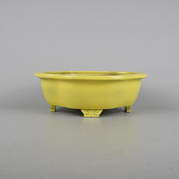 盆栽鉢渡辺一弘 盆栽鉢 壹興 渡辺 一弘 中型 長辺 約22.3cm 木瓜鉢 釉薬 現品 新品