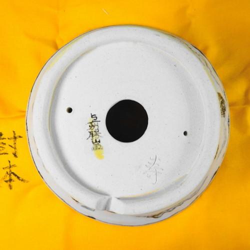 上州勝山 楽天市場】盆栽鉢 上州勝山画 寿ボデー 箱付き 五彩山水図 正方