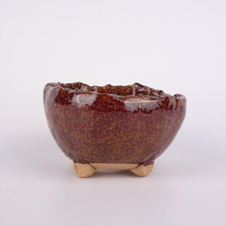 服部盆栽鉢赤茶