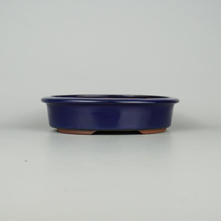 盆栽鉢 常滑 燿山窯 英明 小型 長辺 約18cm 楕円鉢 外縁 小判 瑠璃