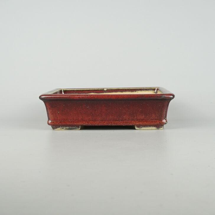 盆栽鉢 春在堂 小型 長辺 約 20.5cm 長方鉢 釉薬 新品 数量物 : はニわ