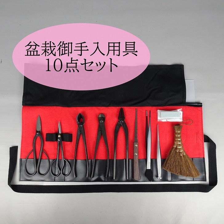 剪定道具セット 本職用】盆栽道具セット 6点｜剪定鋏・芽切鋏・