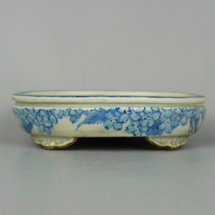 盆栽鉢 松本 松石 小型 長辺 約 12.3cm 楕円鉢 染付 草木 花 桜