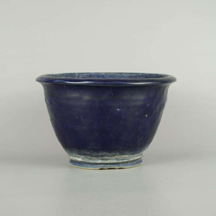 秀峰造 盆栽鉢 常滑 13号 bonsai