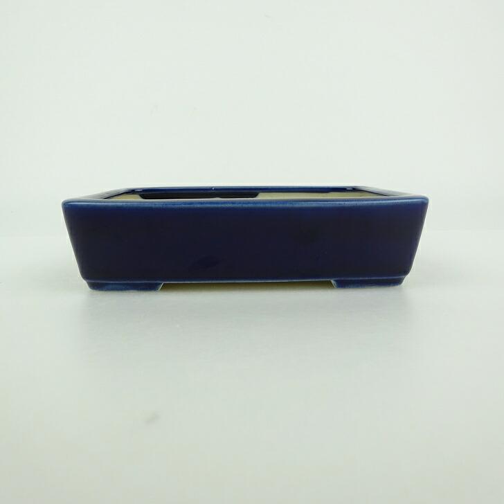 盆栽鉢 青香 小型 長辺 約12cm 長方鉢 釉薬 現品 【公式通販】