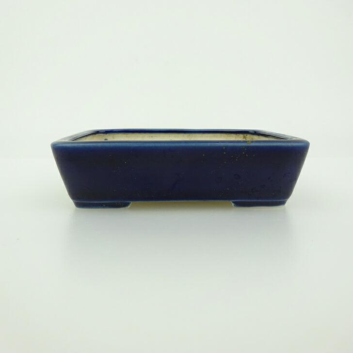 盆栽鉢 青香 小鉢 長辺 約9.4cm 長方鉢 釉薬 現品 鉢 商品情報カテゴリ