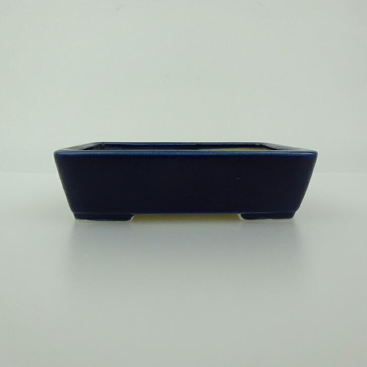 盆栽鉢 青香 小鉢 長辺 約9.3cm 長方鉢 釉薬 現品 【公式