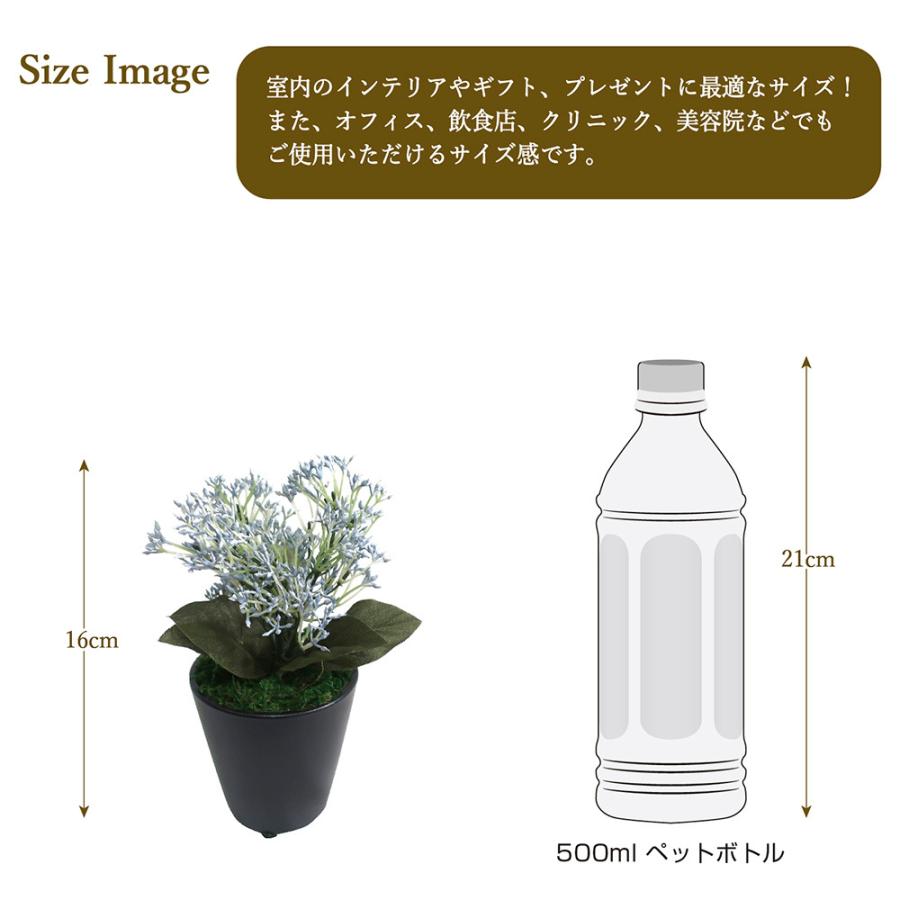 人工観葉植物 ブルースキミア ミニサイズ 人工樹木 フェイク グリーン 人工 植物 インテリア 消臭 抗菌 マイナスイオン おしゃれ 32 8703 繁盛工房 通販 Yahoo ショッピング