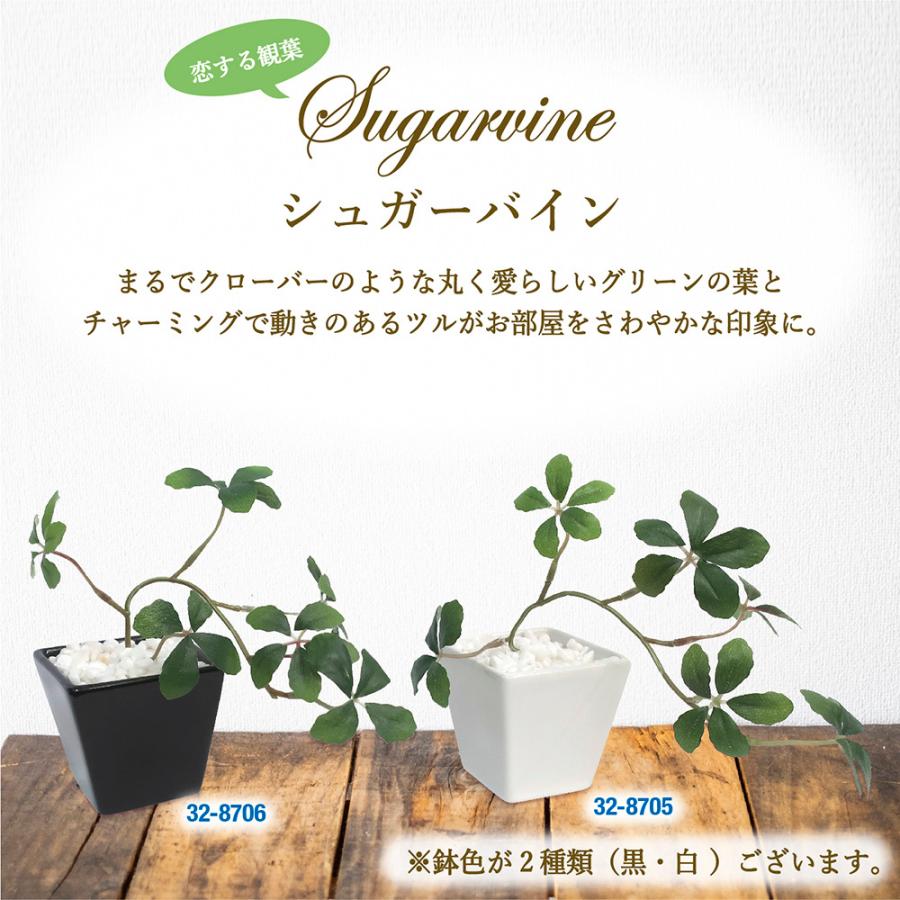 人工観葉植物 シュガーバイン Blk Sサイズ 人工樹木 フェイク グリーン 人工 植物 インテリア 消臭 抗菌 マイナスイオン おしゃれ 32 8706 繁盛工房 通販 Yahoo ショッピング
