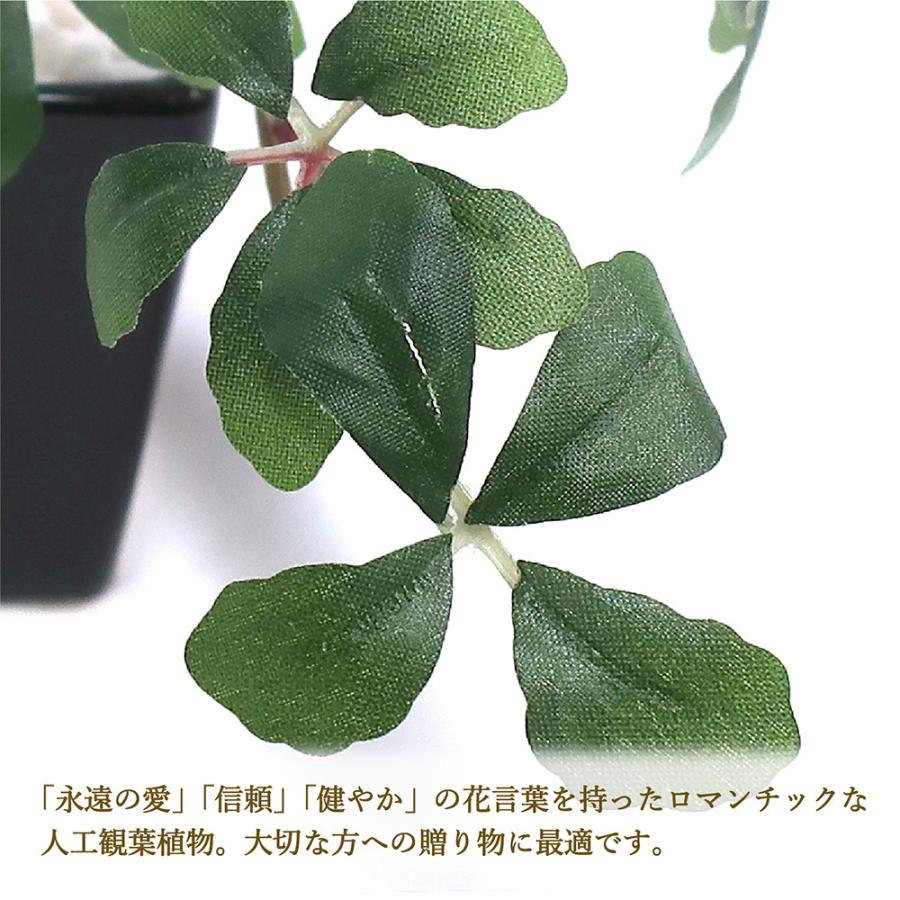 人工観葉植物 シュガーバイン Blk Sサイズ 人工樹木 フェイク グリーン 人工 植物 インテリア 消臭 抗菌 マイナスイオン おしゃれ 32 8706 繁盛工房 通販 Yahoo ショッピング