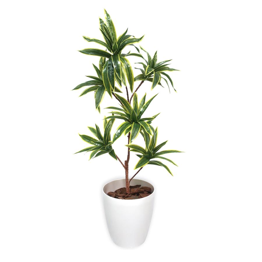 人工観葉植物 ソングオブインディア Mサイズ 人工樹木 フェイク グリーン 人工 植物 インテリア 消臭 抗菌 マイナスイオン おしゃれ 32 8712 繁盛工房 通販 Yahoo ショッピング