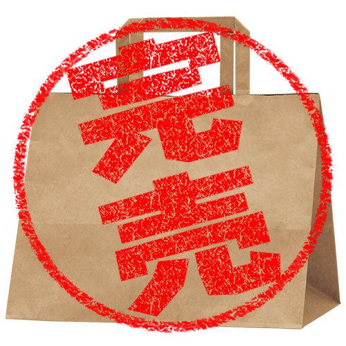 手提げバッグ マチ広 未晒無地 平大 10枚袋入り 紙袋 袋 紙 手提げ袋 手提げ紙袋 カワイイ おしゃれ ラッピング プレゼント ギフト Bag 50 6711 繁盛工房 通販 Yahoo ショッピング