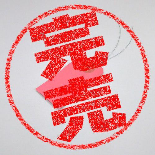 22公式店舗 カラー豆荷札 値札 タグ 針金 無地 シンプル おしゃれ 手書き クロークチケット 業務用 大容量 ラベル 仕分け Cisama Sc Gov Br