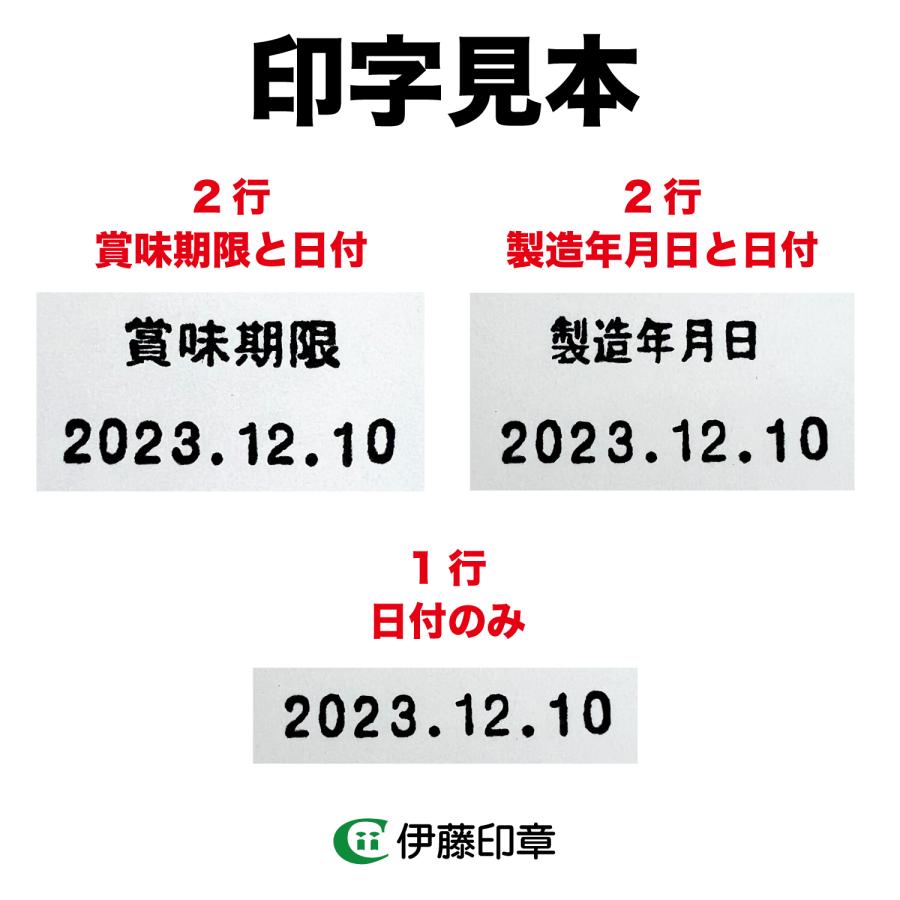 A)【業務用】賞味期限/製造年月日【2行】スタンプ＋インクセット(FT-21