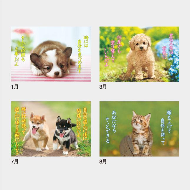 【新品 30%off 送料無料】 名入れカレンダー 2024 壁掛け IC-254H すまいる 200冊 【GMS1513312920】(53440円)