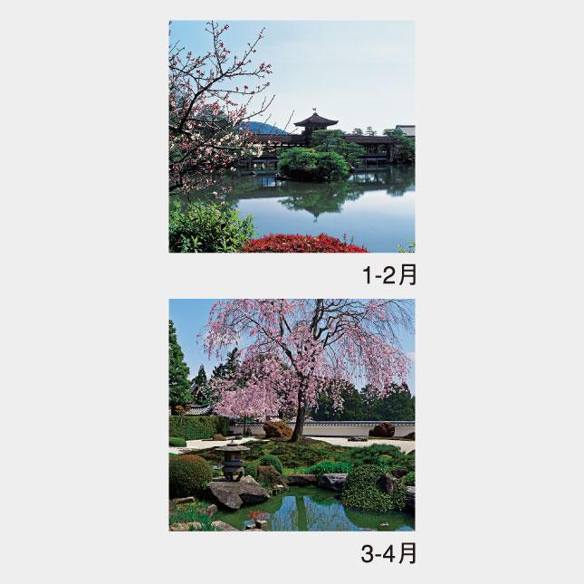 名入れカレンダー 2027 壁掛けNK-401 フィルム 庭 100冊_2