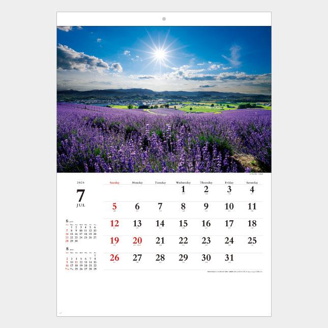 HP728純正インク 計6個 期限2026/JUN〜2026/AUG HP728純正インク 計6個