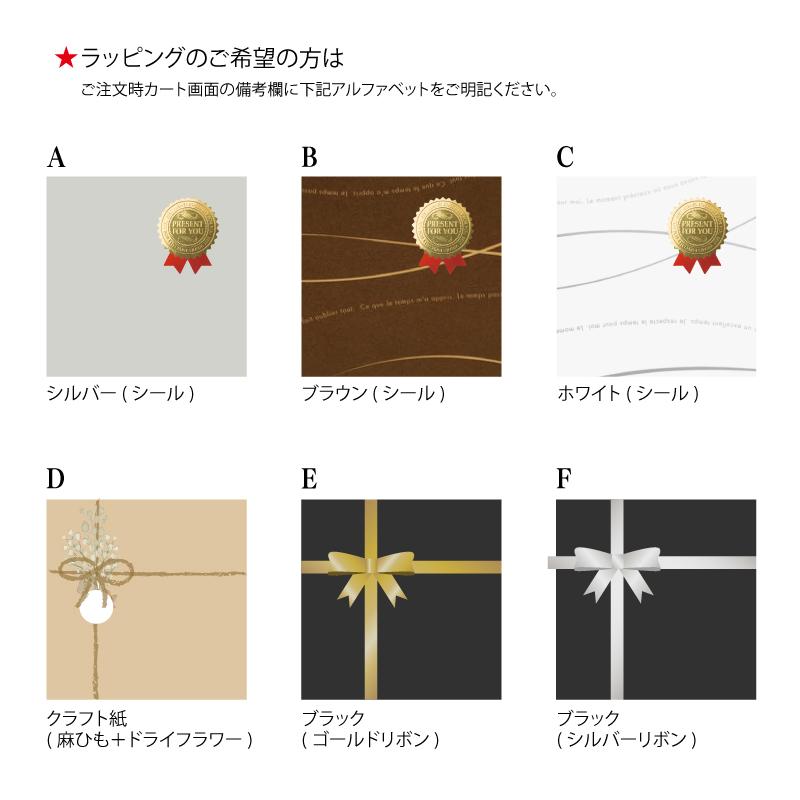 PILOT（パイロット） キャップレス ノック式 万年筆 ゴールドカラー FC