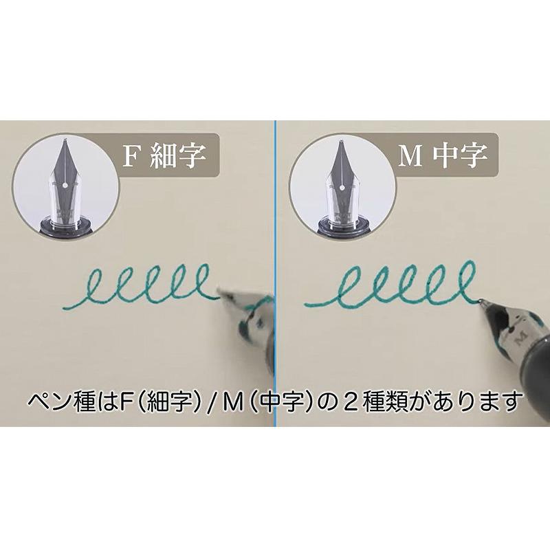 試筆のみ 1979年製 セレモ ストライプ ボルドー パイロット