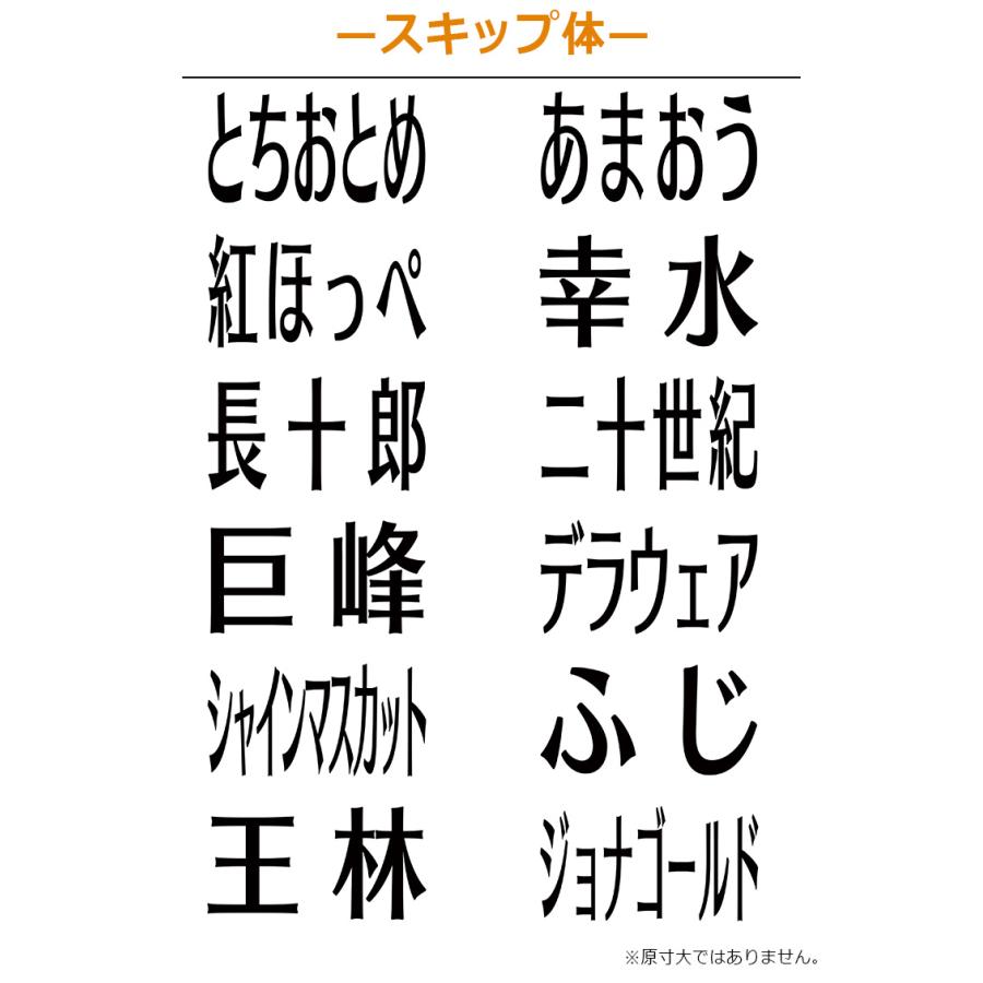Xスタンパー シヤチハタ 角型印 果物品種表示用スタンプ 2651号 (印面