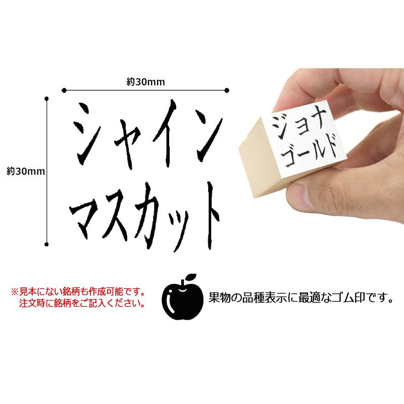 果物品種表示用スタンプ ゴム印 角型印（印面サイズ：30×30mm）果樹/いちご/梨/ぶどう/りんご/みかん/メロン/すいか/バナナ/キウイ/桃｜hanko-king｜02