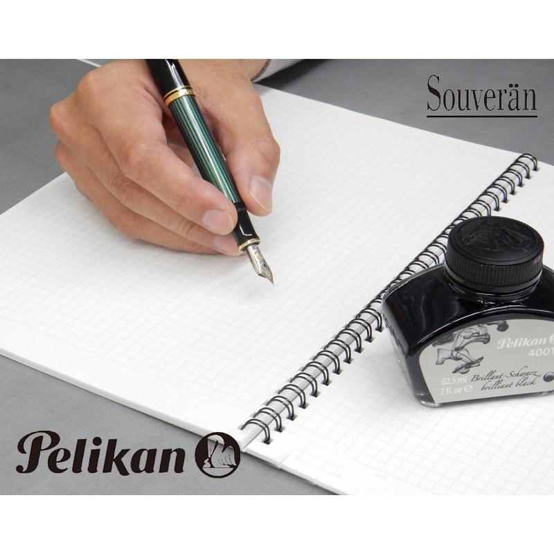 Pelikan（筆記具） Pelikan ペリカン 万年筆 スーベレーン M800