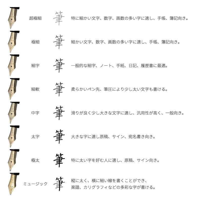 プラチナ万年筆 PLATINUM プラチナ プレジール 万年筆 (細字/中字) PGB