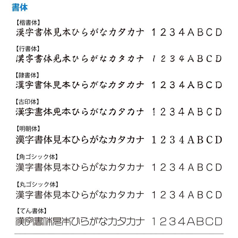 データーネーム シヤチハタ チケッター ラバータイプ データー差替印20