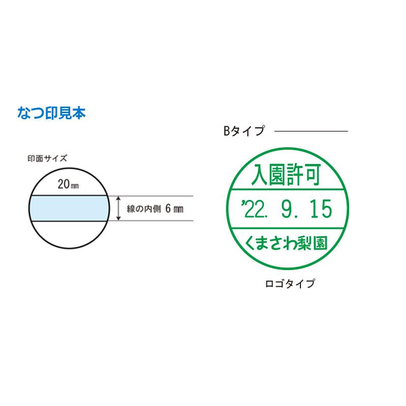 データーネーム シヤチハタ チケッター ラバータイプ データー差替印20