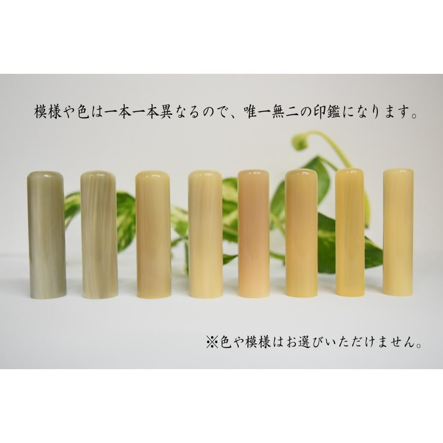 男性用実印】16.5ミリ オランダ水牛(純白)芯持ち ケース付 送料 男性用実印】16.5ミリ オランダ水牛(純白)芯持ち ケース付 送料