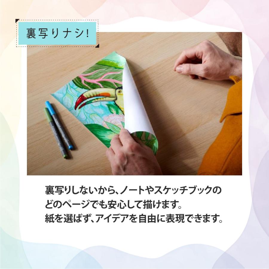ステッドラー（STAEDTLER） ピグメントブラッシュペン スターター