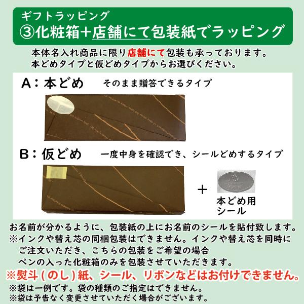 名入れ ネームペン キャップレス エクセレント カラータイプ シャチハタ 彫刻 本体名入れ ボールペン シャープペン｜hanko-otobe｜10