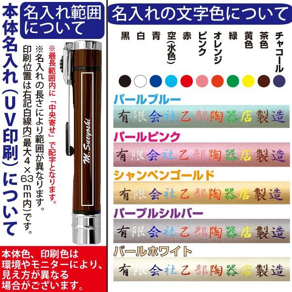 シヤチハタ（Shachihata） 名入れ ネームエルツイン シャチハタ 訂正印