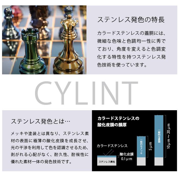 セーラー万年筆　CYLINT　万年筆　 カラードステンレス　SCARAB 太字 セーラー万年筆 CYLINT 万年筆 カラードステンレス SCARAB 太字
