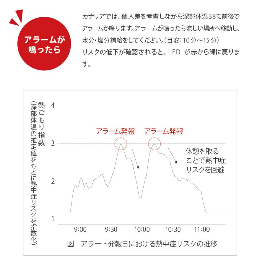 LIHIT LAB.（リヒトラブ） 『10個セット』 カナリアPlus カナリア
