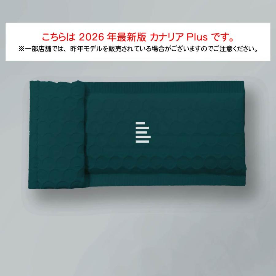 LIHIT LAB.（リヒトラブ） カナリア Plus プラス 熱中対策ウォッチ