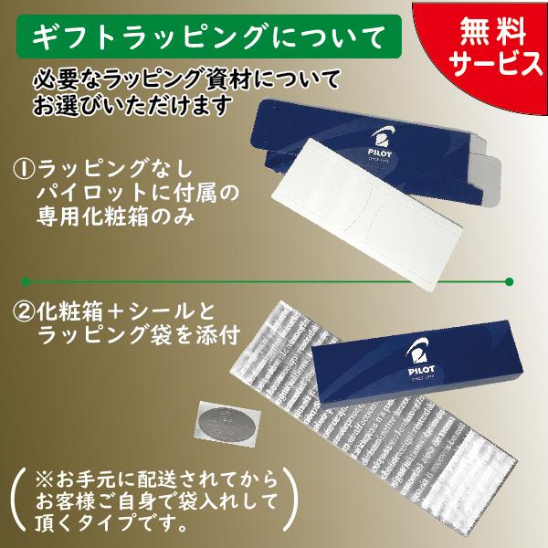 S20 『全色在庫あり』 0.5mm シャープペンシル パイロット PILOT HPS