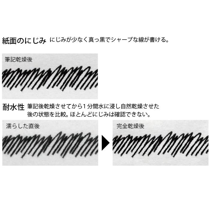 プラチナ万年筆 プラチナ 超黒 万年筆インク インキ 水性顔料 カーボン
