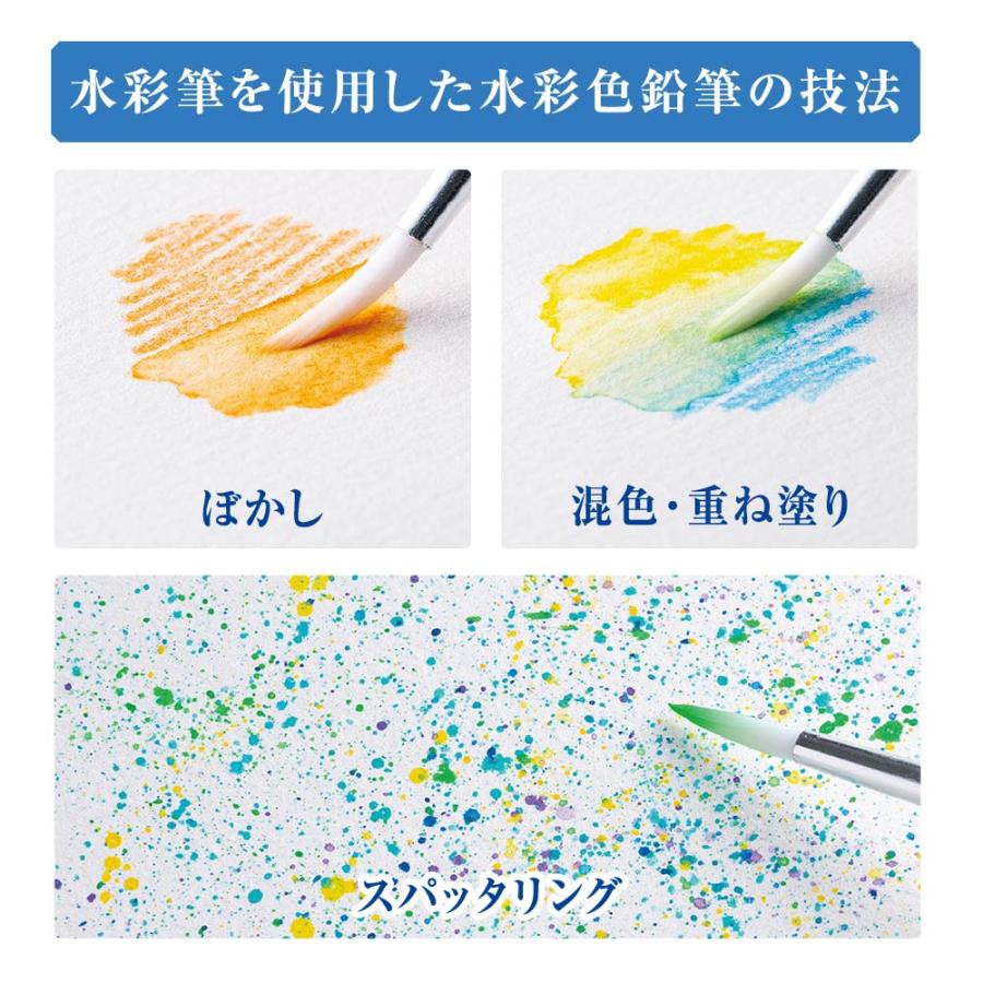 アートライン Artline 水彩色鉛筆 100色セット シヤチハタ 大人の塗り絵 塗り絵 美術 入学祝い プレゼント 画材 クリスマスプレゼント 入門セット 文房具 画材_6