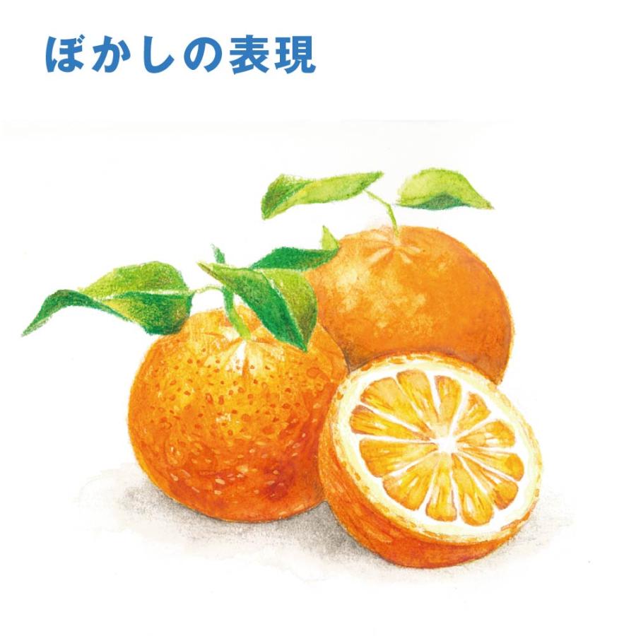 アートライン Artline 水彩色鉛筆 100色セット シヤチハタ 大人の塗り絵 塗り絵 美術 入学祝い プレゼント 画材 クリスマスプレゼント 入門セット 文房具 画材_7