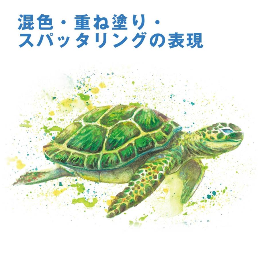 アートライン Artline 水彩色鉛筆 100色セット シヤチハタ 大人の塗り絵 塗り絵 美術 入学祝い プレゼント 画材 クリスマスプレゼント 入門セット 文房具 画材_8