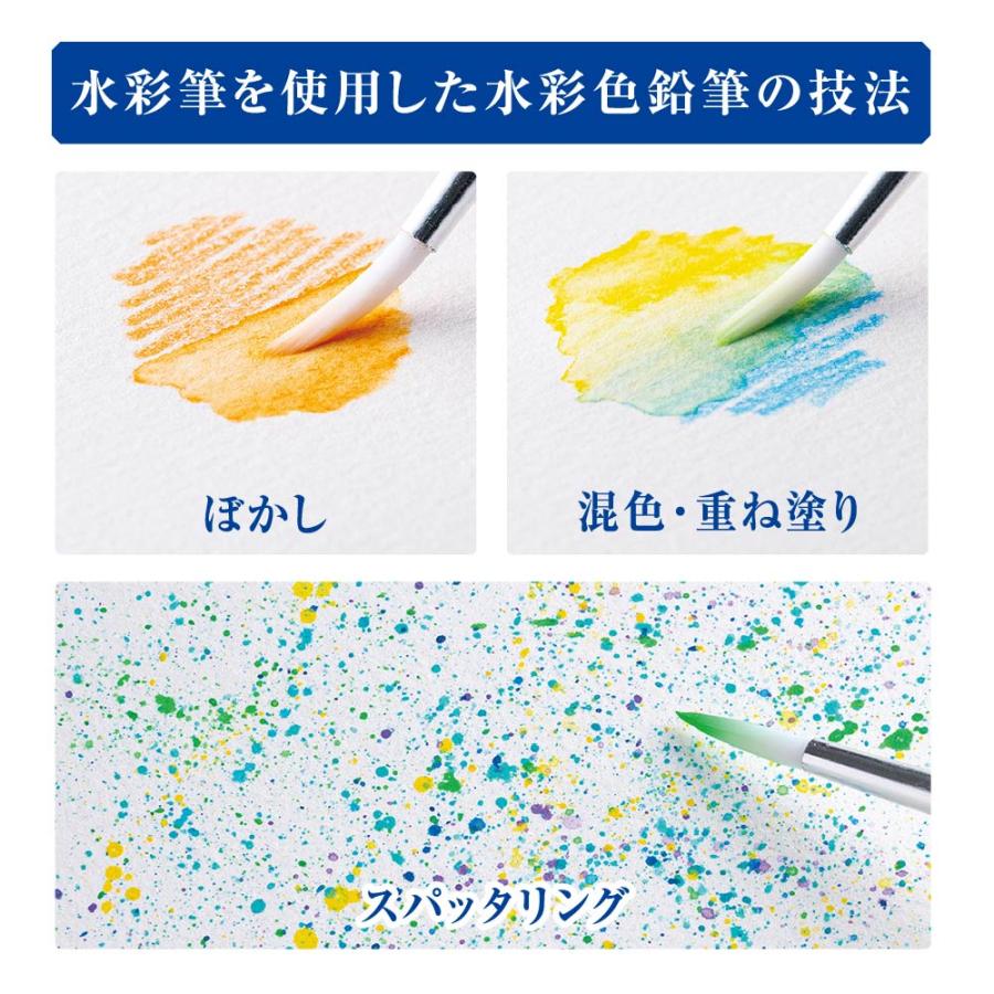 アートライン Artline 水彩色鉛筆 60色セット シヤチハタ 大人の塗り絵 塗り絵 美術 入学祝い プレゼント 画材 クリスマスプレゼント 入門セット 文房具 画材_6