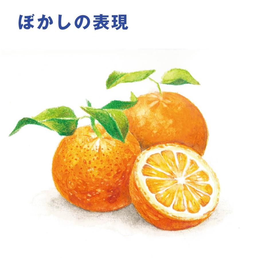 アートライン Artline 水彩色鉛筆 60色セット シヤチハタ 大人の塗り絵 塗り絵 美術 入学祝い プレゼント 画材 クリスマスプレゼント 入門セット 文房具 画材_7