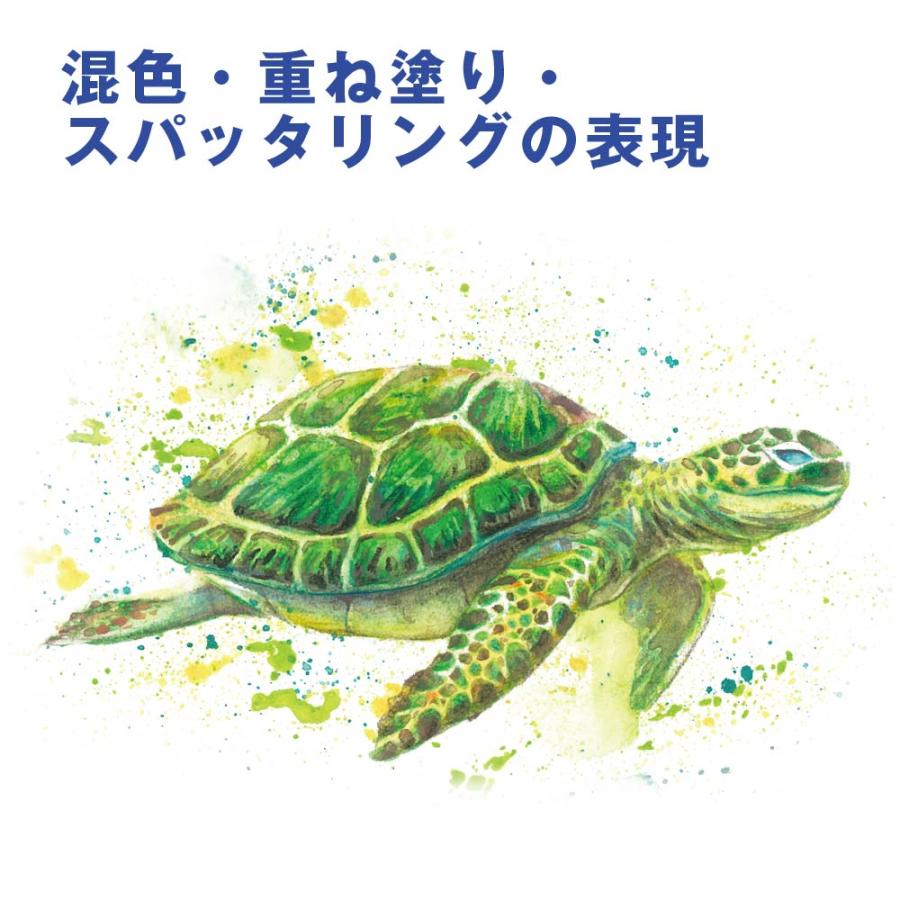 アートライン Artline 水彩色鉛筆 60色セット シヤチハタ 大人の塗り絵 塗り絵 美術 入学祝い プレゼント 画材 クリスマスプレゼント 入門セット 文房具 画材_8