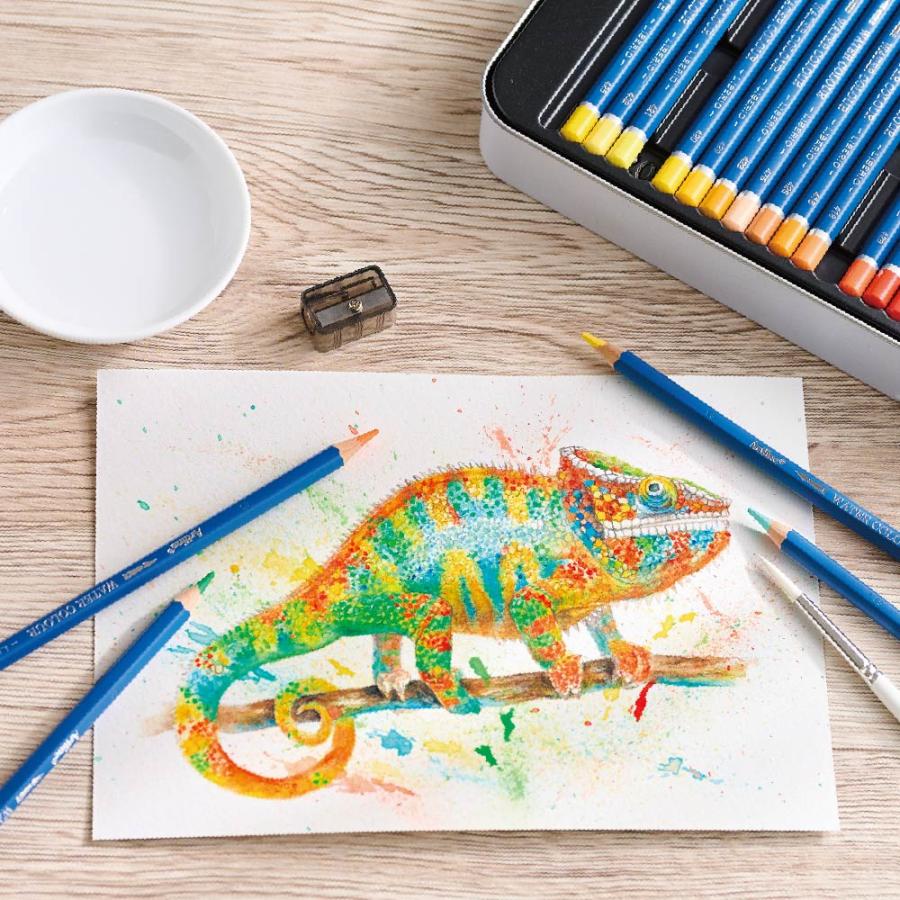 アートライン Artline 水彩色鉛筆 60色セット シヤチハタ 大人の塗り絵 塗り絵 美術 入学祝い プレゼント 画材 クリスマスプレゼント 入門セット 文房具 画材_9