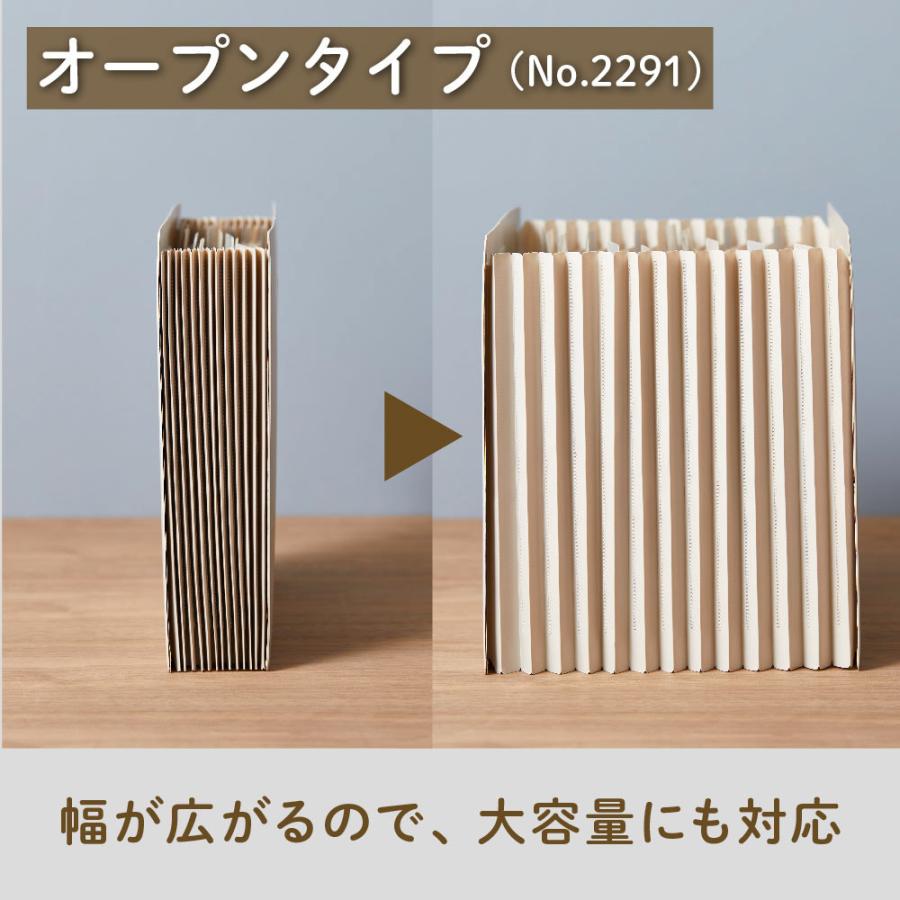KING JIM（キングジム） サクッと整理 ドキュメントファイル